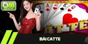 Bài Catte - Tựa Game Kinh Điển Giúp Rèn Luyện Tư Duy Logic