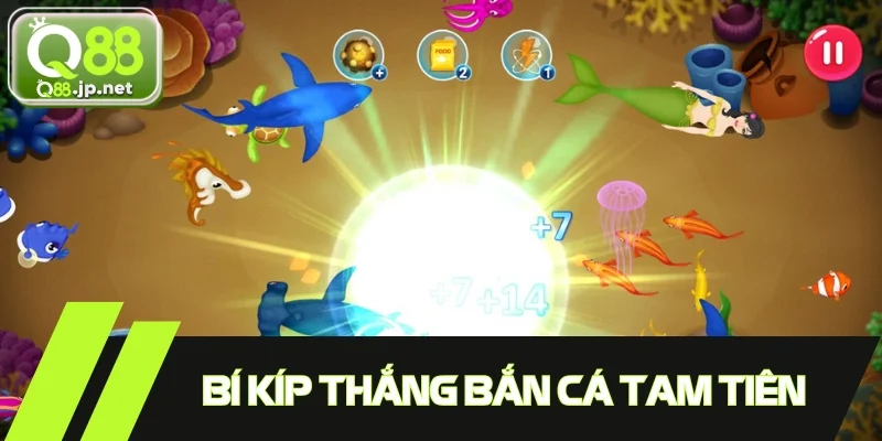 Kinh nghiệm thắng game cứ áp dụng là thắng