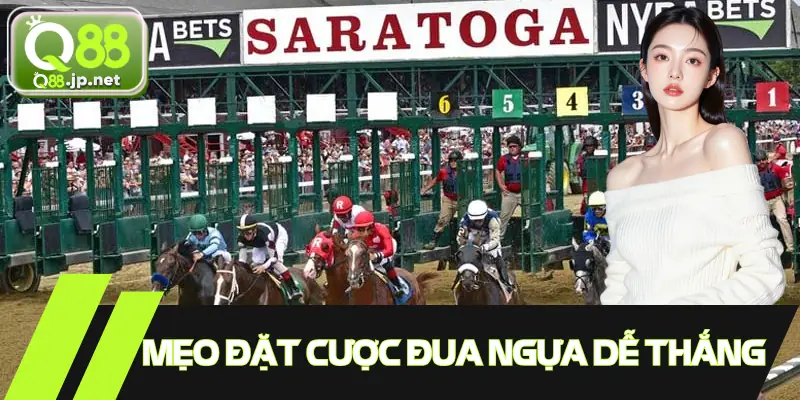 Một số kinh nghiệm khi tham gia cá cược đua ngựa cho hội viên