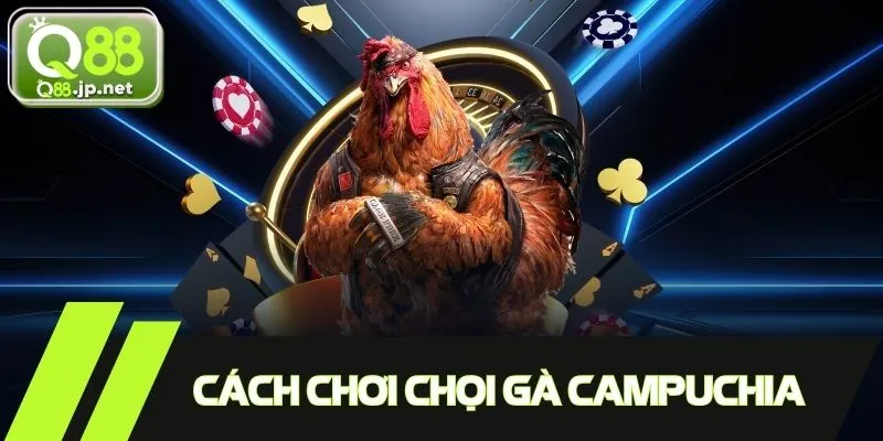 Chi tiết cách chơi chọi gà Campuchia mọi bet thủ cần nắm rõ