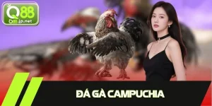 Đá Gà Campuchia - Giải Trí Đỉnh Cao, Thắng Lớn Mỗi Ngày