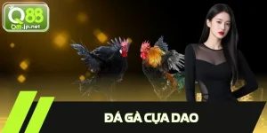 Đá Gà Cựa Dao Online – Xem Trực Tuyến, Cược Dễ Dàng