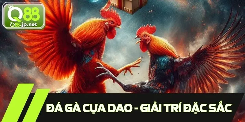 Đá gà cựa dao - Giải trí đặc sắc, sôi động và gây cấn