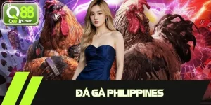 Đá Gà Philippines - Sức Hấp Dẫn Từ Những Trận Đấu Rực Lửa