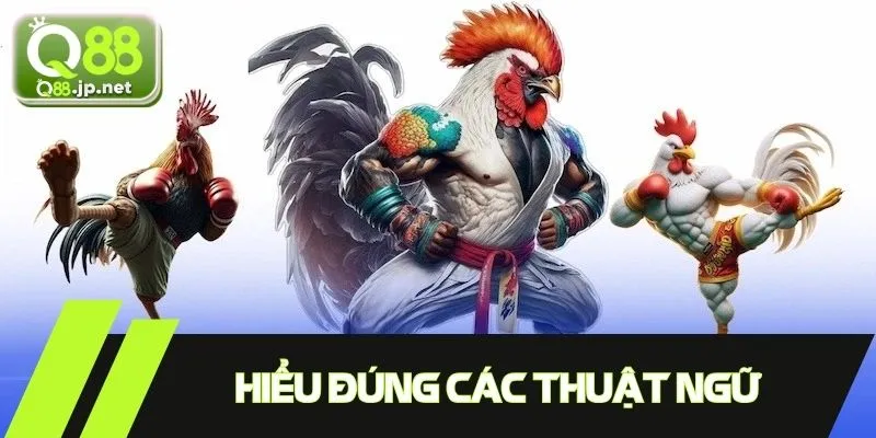 Hiểu đúng các thuật ngữ để nhanh chóng làm quen sân chơi