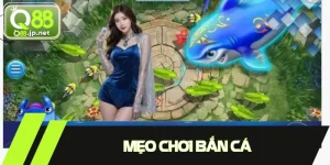 Mẹo Chơi Bắn Cá: Bật Mí Cho Người Trước Khi Tham Gia