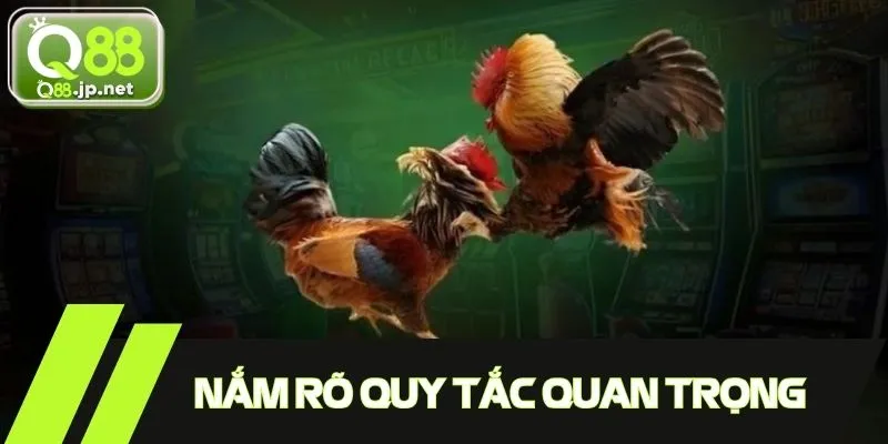 Nắm rõ quy tắc quan trọng trong cá cược chọi gà Philippines 