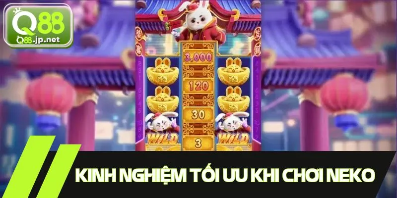 Gợi ý bộ bí kíp toàn tập chinh phục game Neko may mắn