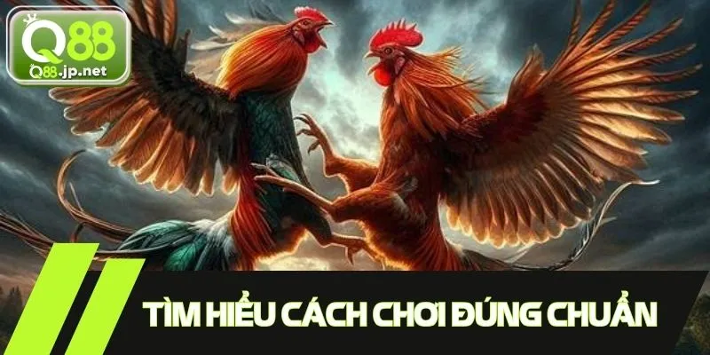 Tìm hiểu cách chơi theo đúng chuẩn luật đá gà cựa dao
