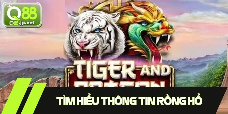 Tìm hiểu cơ bản thông tin liên quan về trò chơi Rồng Hổ