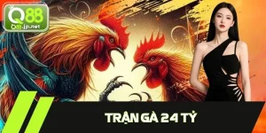 Trận Gà 24 Tỷ - Cuộc Đối Đầu Đắt Giá Bậc Nhất Lịch Sử