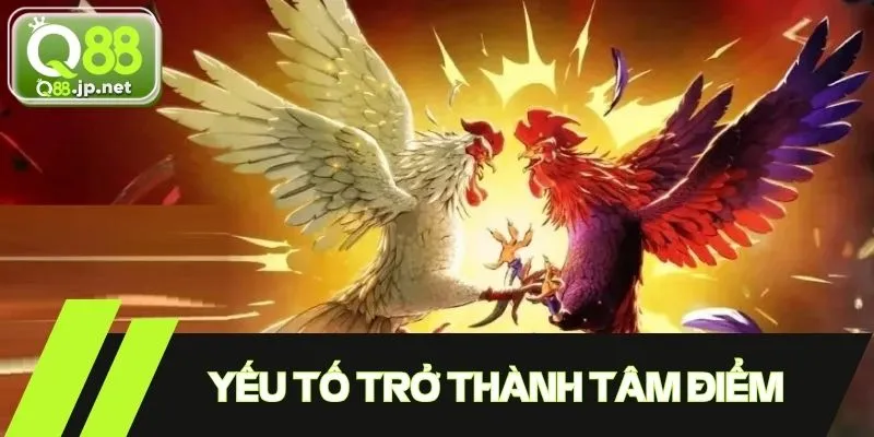 Yếu tố khiến trận gà 24 tỷ trở thành tâm điểm chú ý 